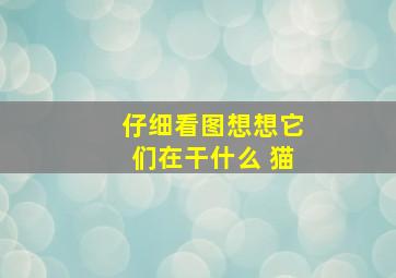 仔细看图想想它们在干什么 猫